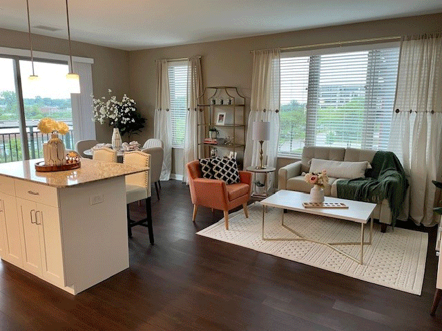 Olive-Living-Roomx Olive-Living-Roomx