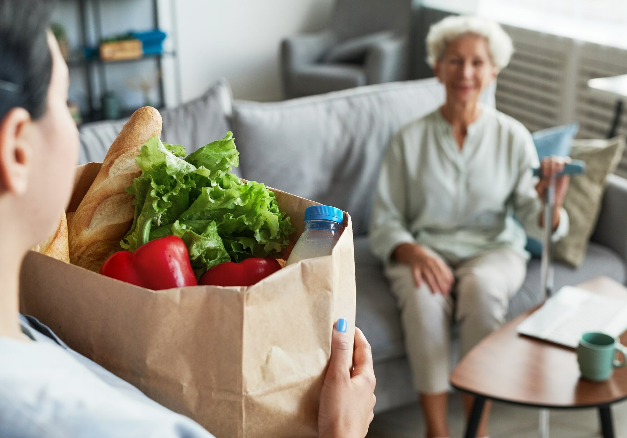 Portrait of female caregiver bringing groceries to senior woman, copy space